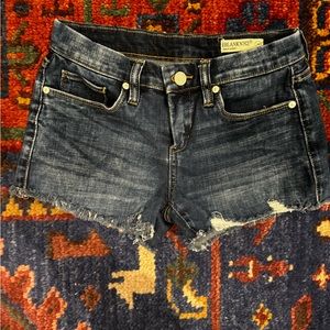 Blank NYC-Hiker Shorts